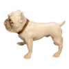 Bing & Grøndahl figur bidsk Bulldog, Dahl Jensen-1679