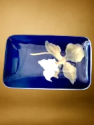 Firkantet-Blaa-skaal-med-blomster-ranke-