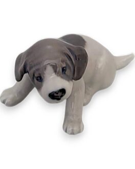 Royal Copenhagen Figur af Pointer Hvalp No. 1311.