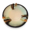 snegle fad-top