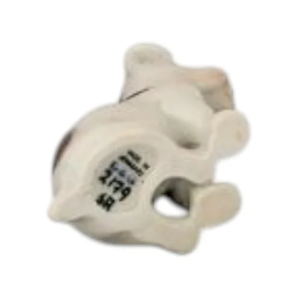 Siddende Sealyham terrier, Bing & grøndahl nr 2179