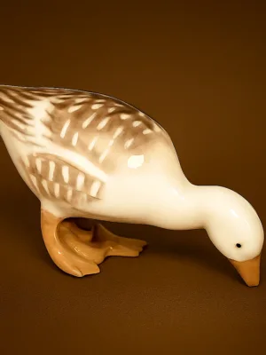 Gås der leder efter mad